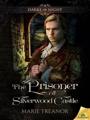 The Prisoner of Silverwood Castle - ebook